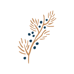 Logo d'Anna Christiansson